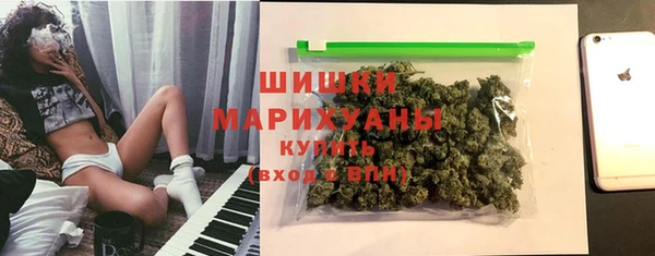 PSILOCYBIN Алзамай