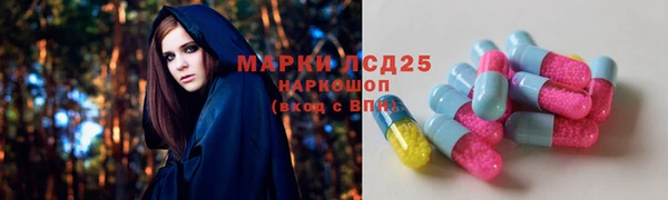 молекула духа Алексин