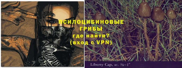 PSILOCYBIN Алзамай