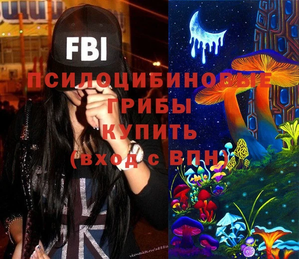 молекула духа Алексин