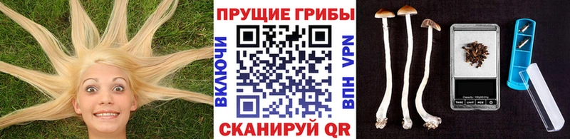 MEGA ссылка  дарнет шоп  Краснокамск  Галлюциногенные грибы MAGIC MUSHROOMS 